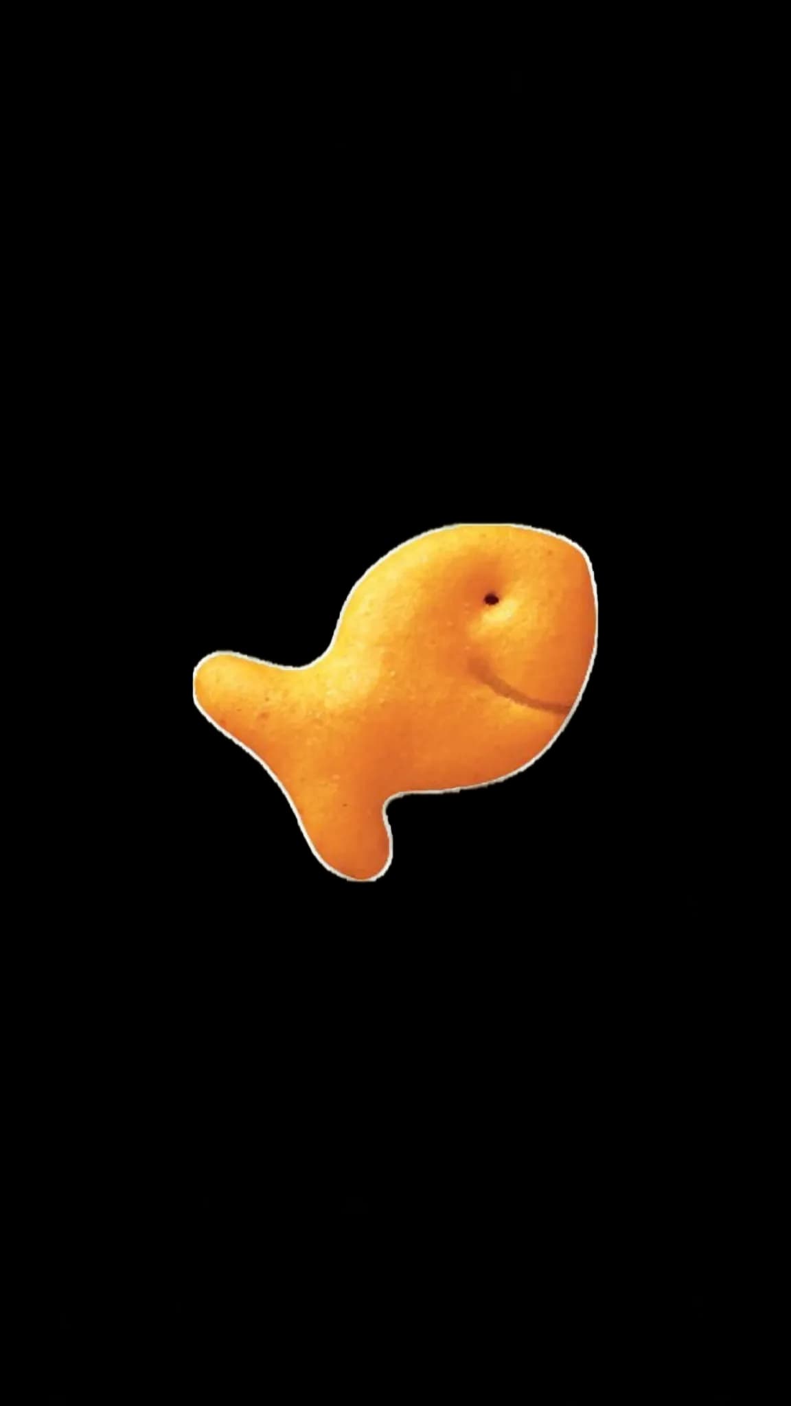 goldfish snack